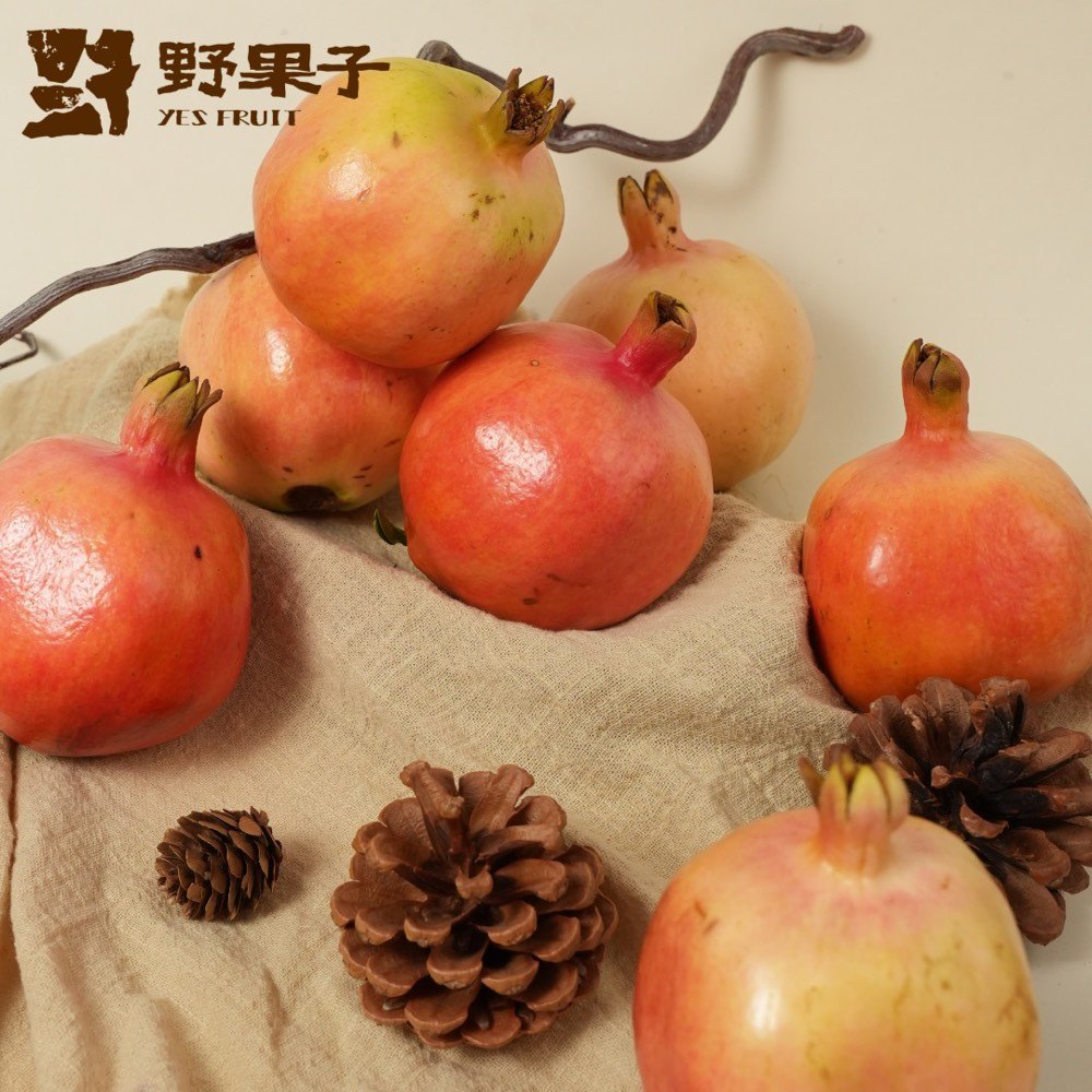 老树石榴与松果静物