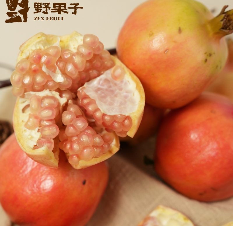 节庆礼盒系列